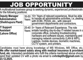 Multinational Business Group job advertisement, deputy manager IT support positions Lahore 2025