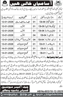 municipal committee panjgur government job vacancy, balochistan employment