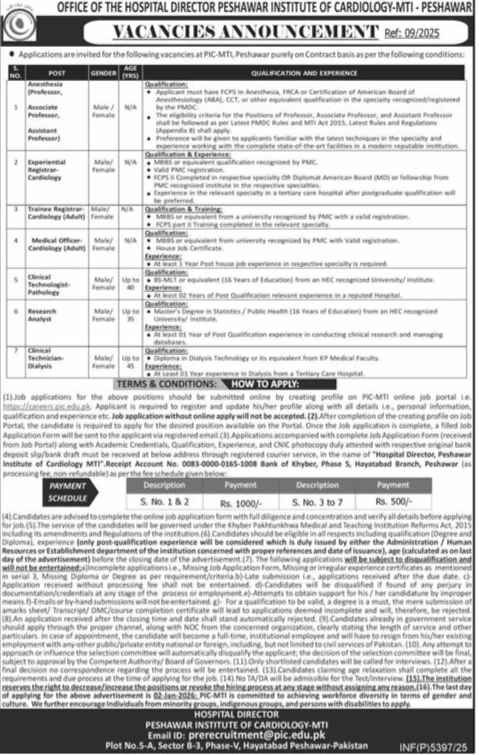 peshawar institute of cardiology job advertisement peshawar