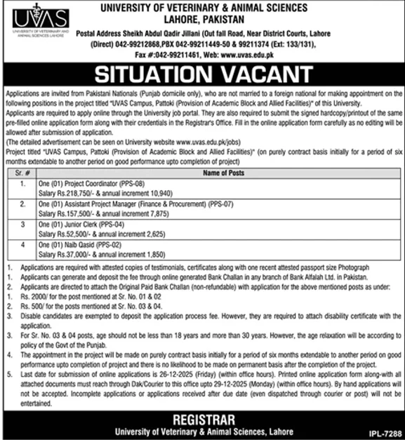 University of Veterinary and Animal Sciences Lahore project coordinator job vacancy advertisement 2025