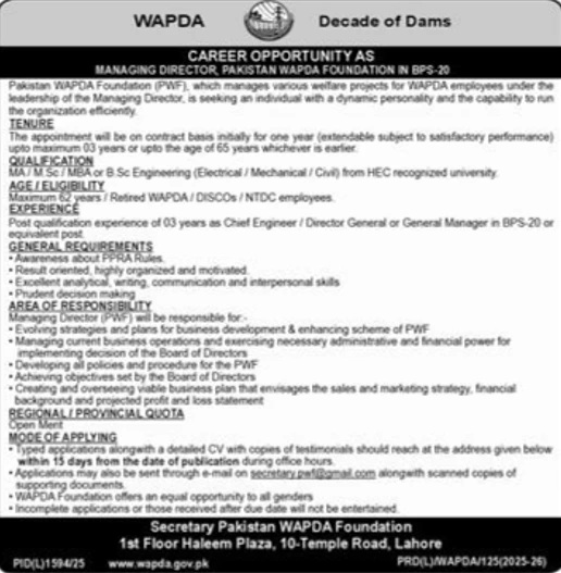 wapda pakistan foundation managing director job opportunity, government sector employment