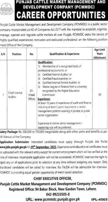 pcmmdc auditor jobs lahore