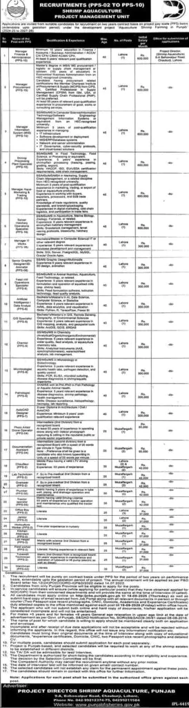 project management unit careers