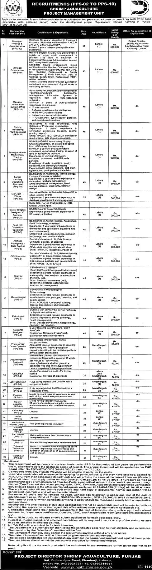 lahore govt jobs